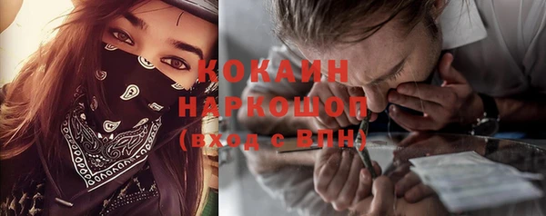 шишки Магадан