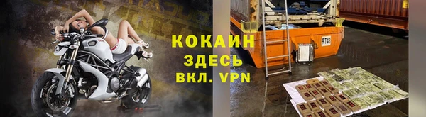 шишки Магадан