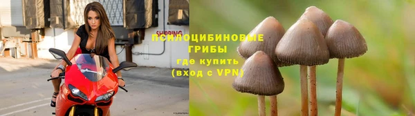 сатива Семилуки