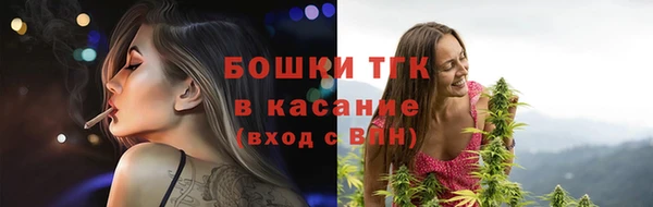 шишки Магадан
