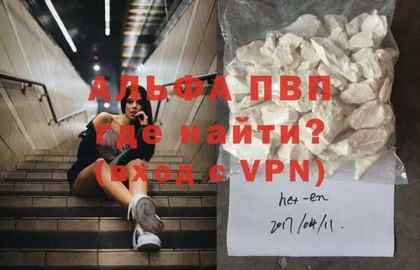ГАЛЛЮЦИНОГЕННЫЕ ГРИБЫ Семёнов