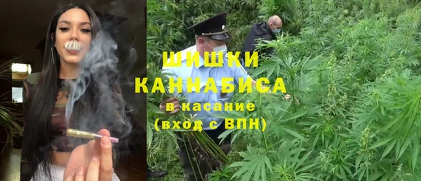 индика Майский