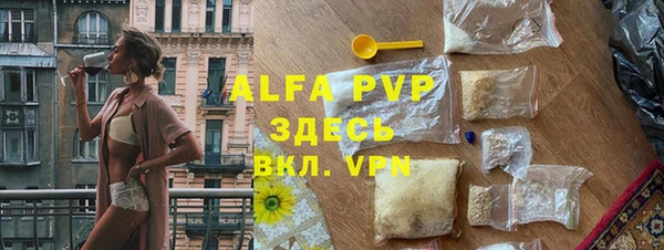 индика Майский