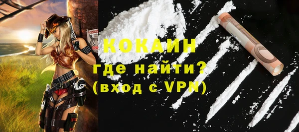 индика Майский