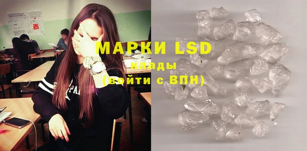 индика Майский